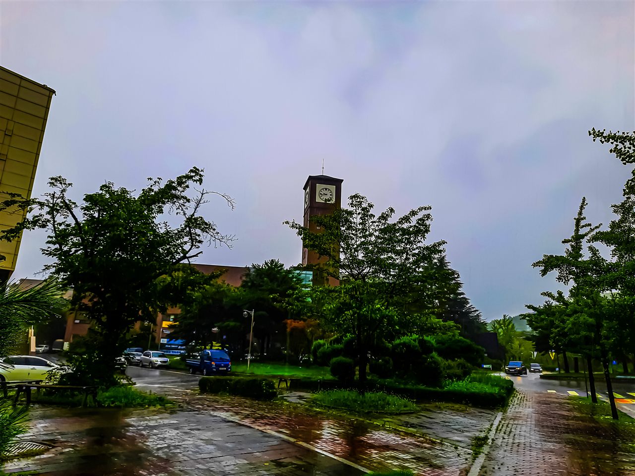 전북 전주시 완산구 전주대학교 캠퍼스 — 나무 사이로 보이는 붉은 벽돌 시계탑과 비 내린 캠퍼스 길