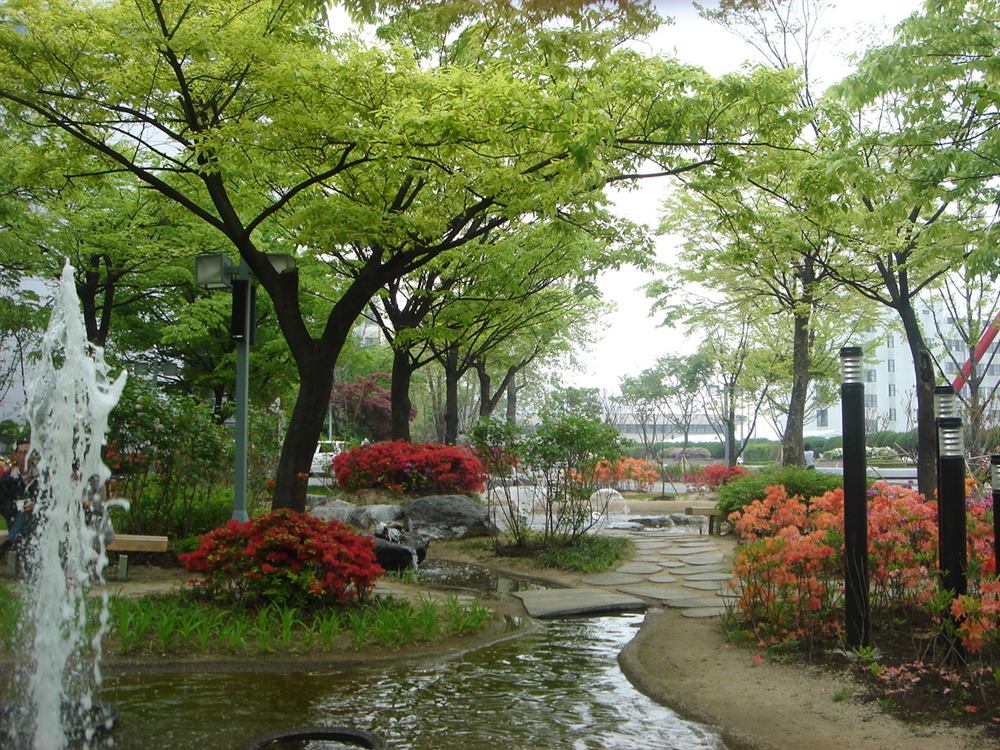 홍익대학교 교정